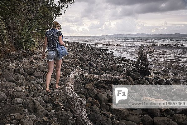 Wanderung zum New Chums Beach  Coromandel Halbinsel  Neuseeland Nordinsel