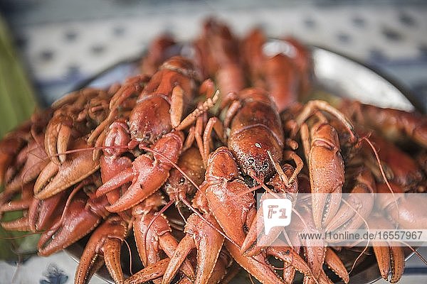 Cray fish for sale in Ranomafana market  Madagascar Central Highlands