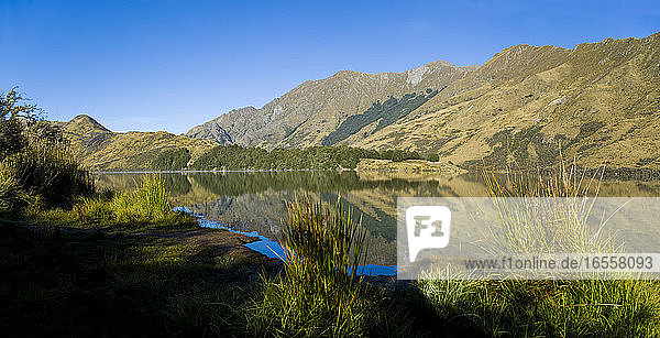 Panoramafoto der frühmorgendlichen Reflektionen am Lake Moke  Queenstown  Südinsel  Neuseeland. Der Lake Moke  10 km von Queenstown entfernt  ist nicht nur ein wunderschöner See  sondern auch ein Campingplatz des Department of Conservation (DOC)  der sowohl für Wohnwagen als auch für Wohnmobile zugänglich ist. In den frühen Morgenstunden ist der Lake Moke oft vollkommen still und bietet perfekte Spiegelungen der umliegenden Hügel und Berge im Wasser. Die Kombination aus einer fabelhaften goldenen Stunde  wenn die Sonne über den Hügeln aufgeht  dem Morgennebel  der vom See aufsteigt  und den satt orangefarbenen Herbstbäumen machte diese Nacht auf dem Lake Moke Department of Conservation Campsite (DOC-Campingplatz) zu etwas ganz Besonderem.