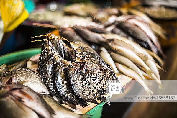 Fish for sale in Mapusa Market  Goa  India