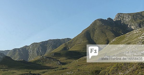 Kleinmond  Westkap  Südafrika. Dez2019. Die Hottentots-Holland-Berge sehen grün aus  da die Flora und Fauna nach einem Brand wieder wächst.