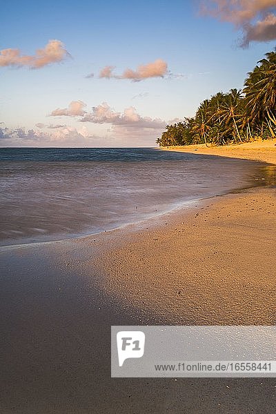 Tropical beach with palm trees at sunrise  Rarotonga  Cook Islands