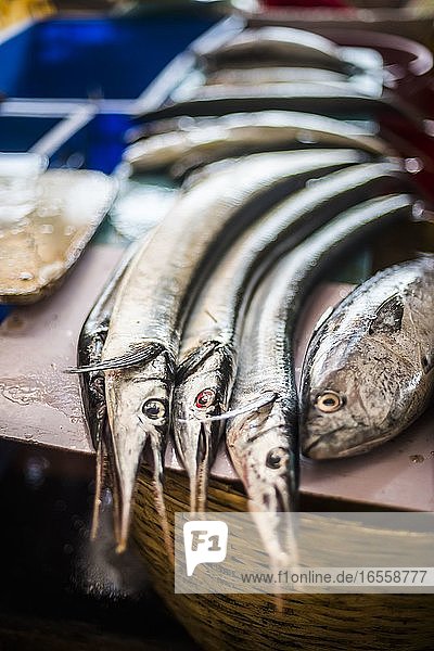 Fish for sale in Mapusa Market  Goa  India