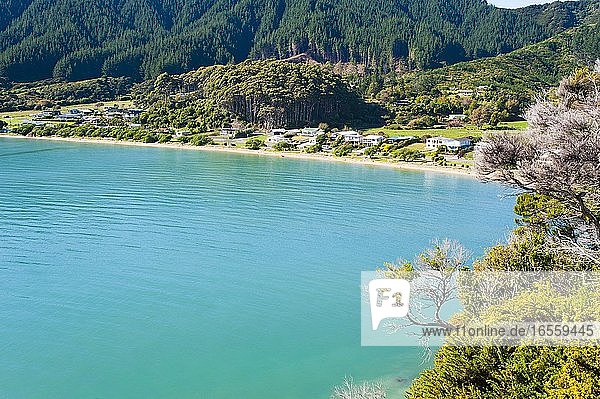 Türkisfarbenes Wasser am Tata Beach  Golden Bay  Südinsel  Neuseeland. Tata Beach ist ein atemberaubender Strand in der Region Golden Bay auf der Südinsel Neuseelands. Der goldene Sand und das türkisblaue Wasser machen ihn zu einem wahrhaft schönen Strand  den man besuchen sollte.