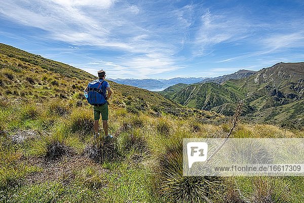 Hiker on hiking trail  Grandview Mountain Track  view of Lake H?wea  Southern Alps  Otago  South Island  New Zealand  Oceania