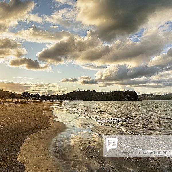 Cooks Beach bei Sonnenuntergang  Ozeanien  Coromandel Peninsula  Waitako  Nordinsel  Neuseeland  Ozeanien