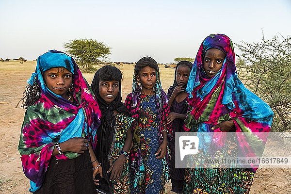 Colourful dressed girls at the Gerewol festival  courtship ritual competition among the Woodaabe Fula people  Niger  Africa