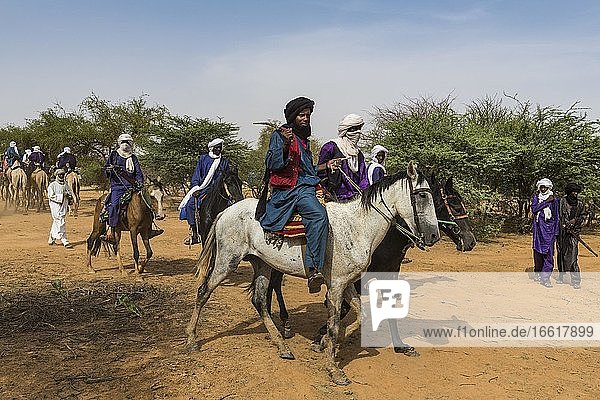 Tuaregs on their camels  Gerewol festival  courtship ritual competition among the Woodaabe Fula people  Niger  Africa