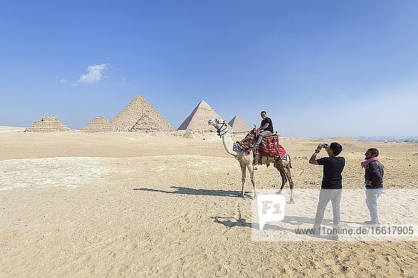 Camel riding at the pyramid complex  Giza  Egypt  Africa