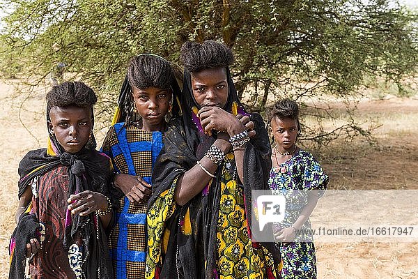Young girls at the Gerewol festival  courtship ritual competition among the Woodaabe Fula people  Niger  Africa