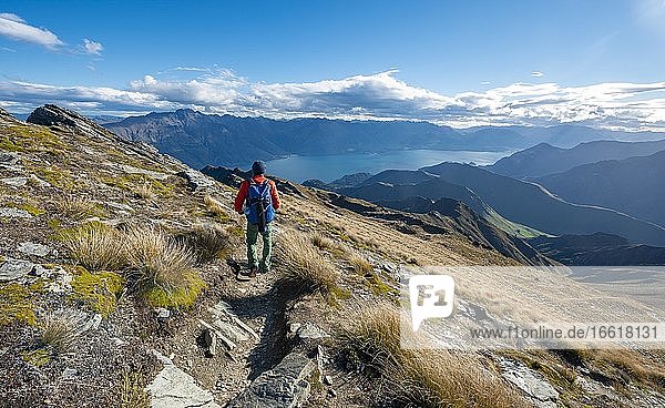 Hiker on the hiking trail to Ben Lomond  views of Lake Wakatipu  Southern Alps  Otago  South Island  New Zealand  Oceania