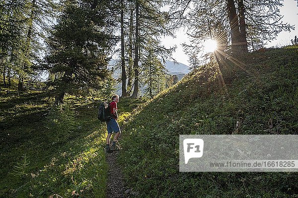 Hiker on Funtenseetauern hiking trail  sunshine in the forest  morning sun  Berchtesgaden National Park  Berchtesgadener Land  Upper Bavaria  Bavaria