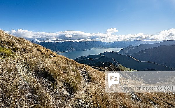 View of Lake Wakatipu  Ben Lomond hiking trail  Southern Alps  Otago  South Island  New Zealand  Oceania