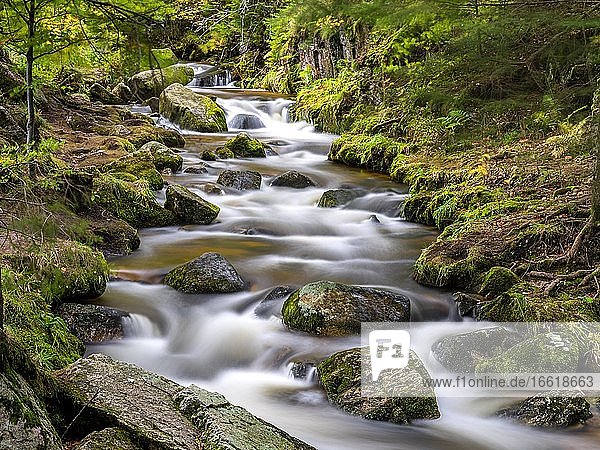 Schwarzwald  Menzenschwander Alb  Wasserfälle im Herbst  Baden Württemberg  Deutschland  Europa