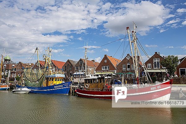 Colourful shrimp boats in the fishing port  Neuharlingersiel  East Frisia  Niedersachsen  Germany  Europe