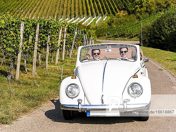 Businessmen in a classic car  driving through vineyards  Remstal  Baden-Württemberg  Germany  Europe