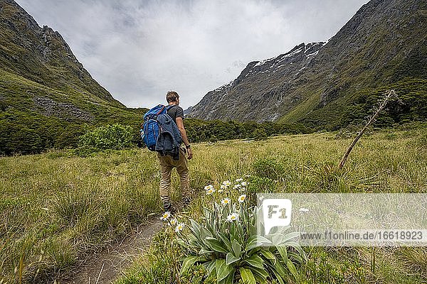 Hiker on Hiking Trail  Gertrude Saddle Route  Fiordland National Park  Southland  New Zealand  Oceania