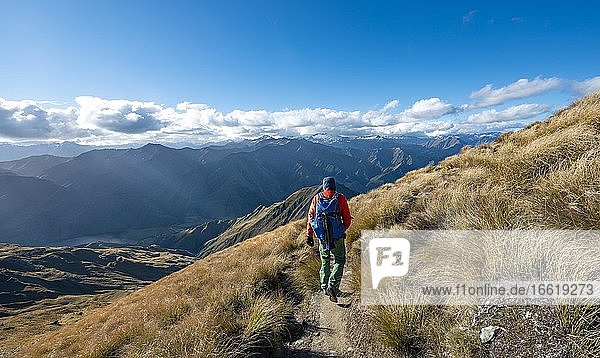 Wanderer auf dem Wanderweg zum Ben Lomond  Ausblick auf Bergketten  Südalpen  Otago  Südinsel  Neuseeland  Ozeanien
