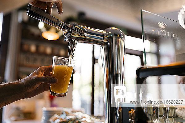 Bartender pouring beer in glass at cafe