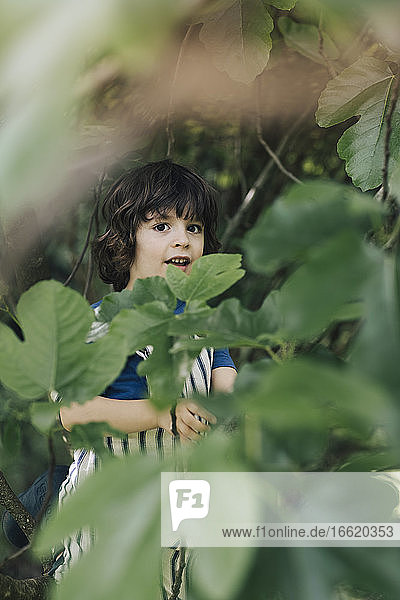Niedlicher Junge steht und versteckt sich hinter einem Blatt eines Baumes im Garten