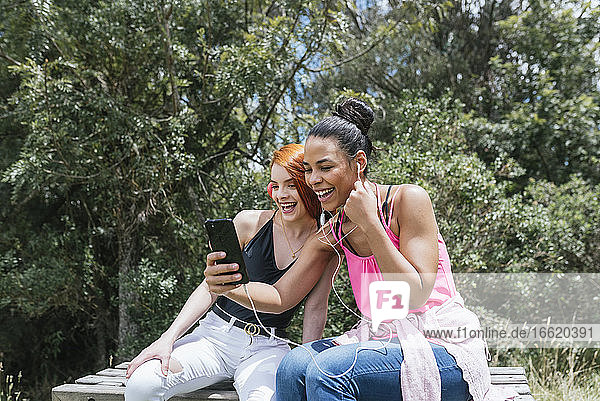 Fröhliche junge Frau  die ein Selfie mit einer rothaarigen Freundin macht  die im Park an einem sonnigen Tag sitzt