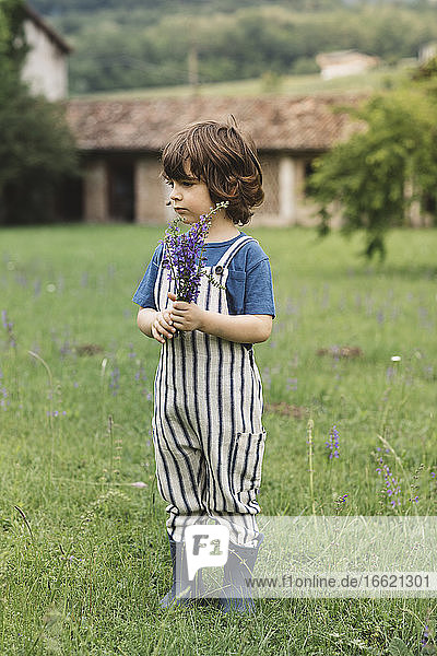 Junge schaut weg  während er im Gras auf einer Wiese steht