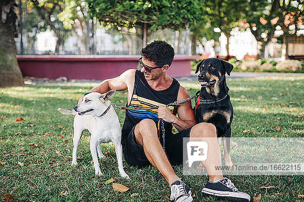 Mann mit Sonnenbrille und Hunden auf einer Wiese im Park sitzend