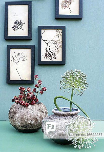 Frames with dried seaweeds hanging over vases with blackberries and allium flowers