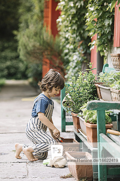Cute boy gardening while sitting at backyard