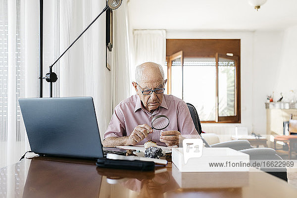 Retired elderly man analyzing minerals and fossils with magnifying glass while sitting at table