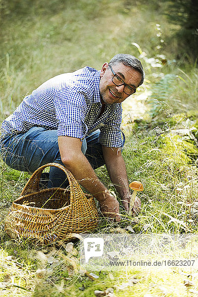 Mann sammelt Pilze im Wald an einem sonnigen Tag