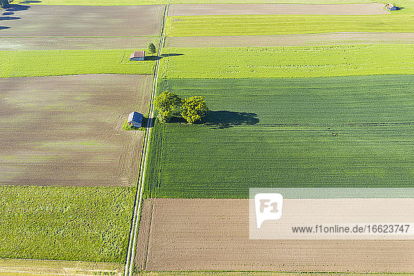 Drone view of dirt road stretching between countryside fields in spring