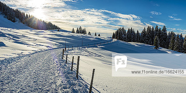 Sun setting over snow-covered footpath in Kleinwalsertal
