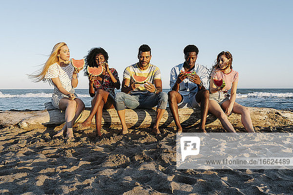 Freunde sitzen auf einem Baumstamm und essen Wassermelone am Strand an einem sonnigen Tag