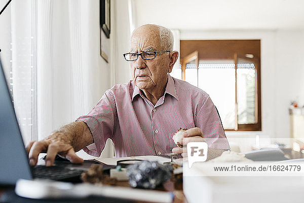 Älterer Mann im Ruhestand  der einen Laptop benutzt  während er zu Hause über Fossilien und Mineralien forscht