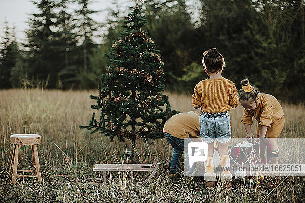 Geschwister mit Weihnachtsschmuck auf einer Wiese auf dem Lande