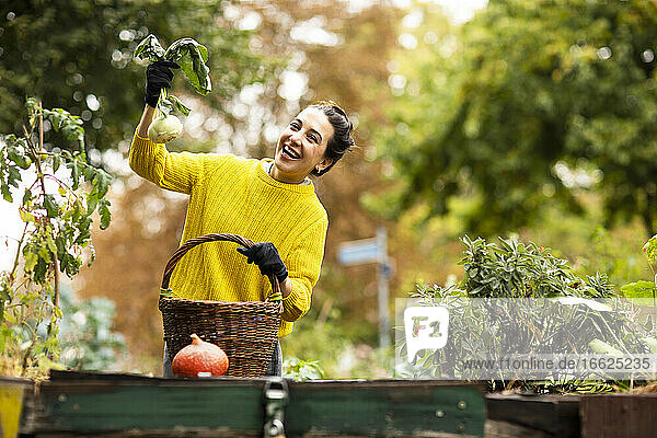 Mittlere erwachsene Frau  die lächelnd Kohlrabi in einem städtischen Garten hält