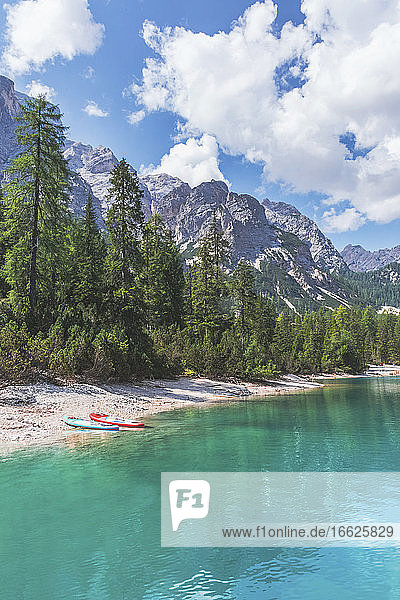 Paddleboards at Pragser Wildsee lakeshore by trees on sunny day  Dolomites  Alto Adige  Italy