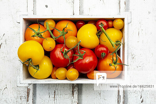 Kiste mit reifen Tomaten
