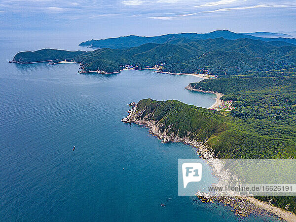 Aerial view of forested coastal cliffs