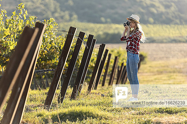 Frau fotografiert mit Kamera in einem Weinberg