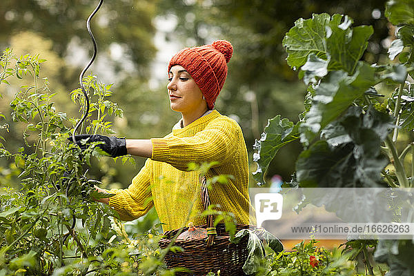 Mittlere erwachsene Frau in warmer Kleidung bei der Gartenarbeit in einem städtischen Garten stehend