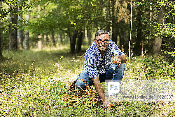 Älterer Mann sammelt Pilze im Wald