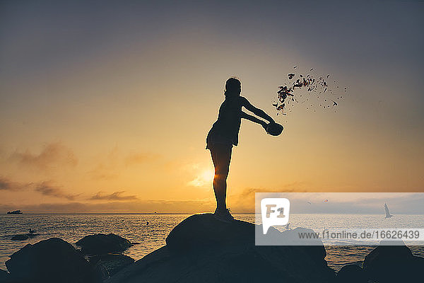 Silhouette woman feeding birds while throwing food from bowl at beach during sunset