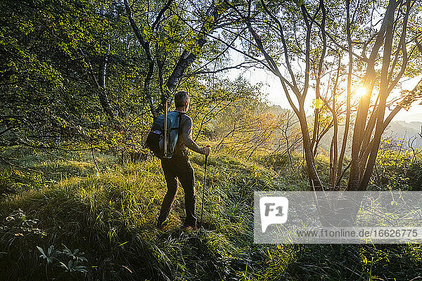 Male hiker with backpack and hiking pole walking in forest  Orobie  Lecco  Italy