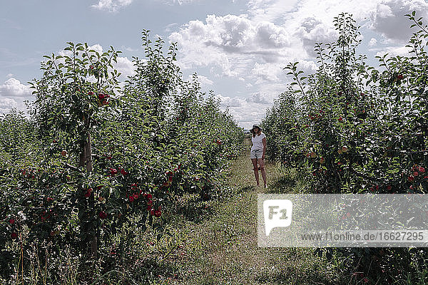 Mid adult woman standing amidst trees in orchard against sky during sunny day
