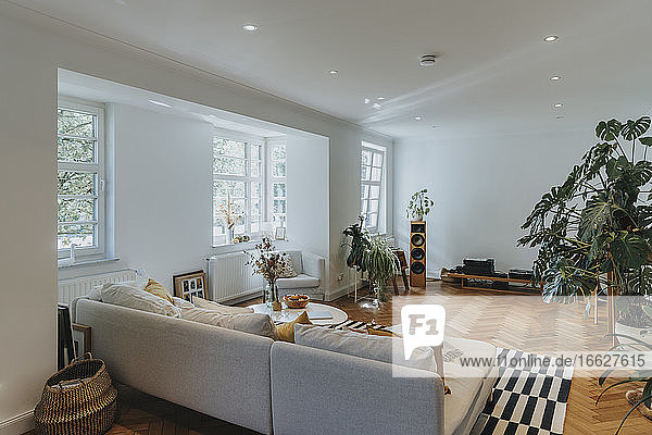Modern interior of living room