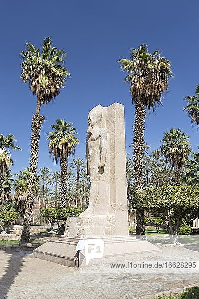 Statue of Ramesses II 1279-1213 BC circa red granite Mit Rahina museum Memphis Egypt Africa