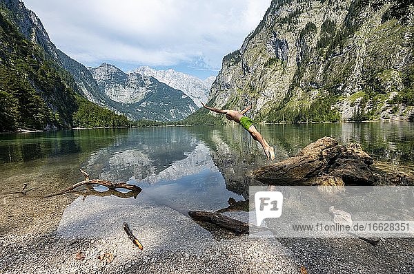 Junger Mann springt in See  badet in Bergsee  Berge spiegeln sich im Obersee  hinten Watzmann  Salet am Königssee  Nationalpark Berchtesgaden  Berchtesgadener Land  Oberbayern  Bayern  Deutschland  Europa