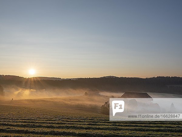 Sonnenaufgang über dem Jostal  Bauernhof in den morgendlichen Sonnenstrahlen  morgendlicher Nebel über den Feldern  Titisee ? Neustadt  Hochschwarzwald  Schwarzwald  Baden-Württemberg  Deutschland  Europa